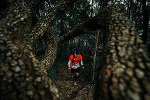 BIB: 
                            <button type="button" onclick="openModal(25674889)" class="btn btn-primary btn-sm float-right btn-popup" data-toggle="modal" data-target=".modal-high-quality">
                        <i class="fas fa-shopping-cart"></i> Add to Cart
                    </button>
                                            <button type="button" onclick="isThisMe(25674889, true)" class="btn btn-success btn-sm float-right btn-popup btn-isme hidden" data-toggle="tooltip" data-placement="bottom" title="นี่คือรูปของคุณใช่ไหม คลิกที่นี่เพื่อเอาเข้าอัลบั้ม">
                        <i class="fas fa-plus"></i> Add to album
                    </button>
                    <button type="button" onclick="isThisMe(25674889, false)" class="btn btn-warning btn-sm float-right btn-popup btn-isnotme hidden">
                        <i class="fas fa-ban"></i> Remove from album
                    </button>